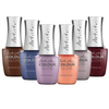 Artistic Collection 6pc - Cover Me Head To Toe - GEL COLOURS ONLY